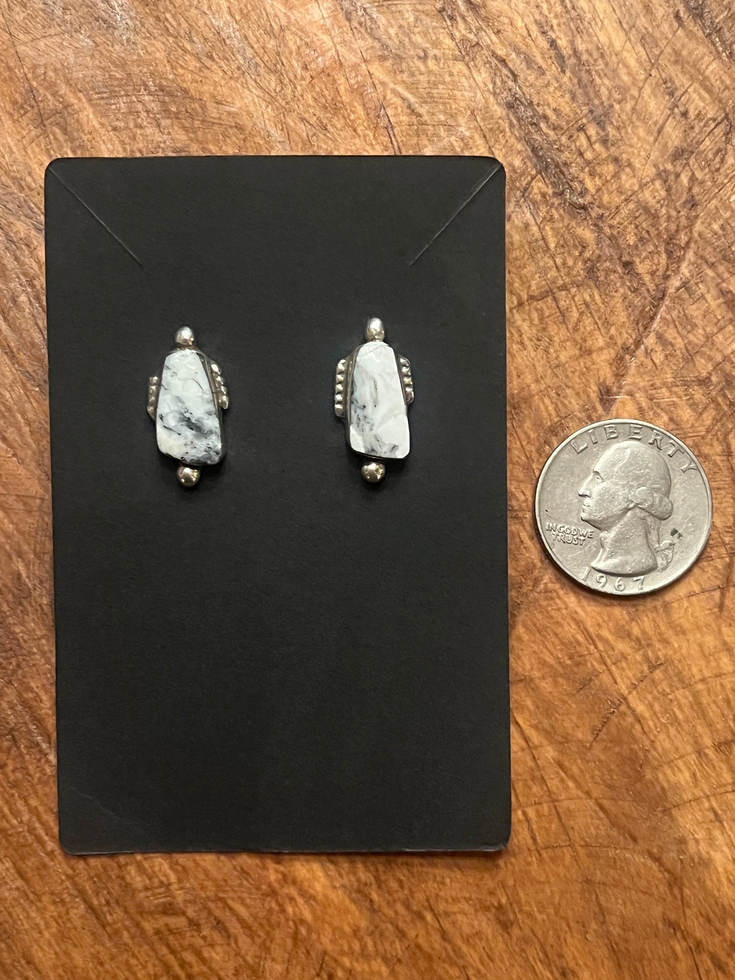Native White Buffalo Studs