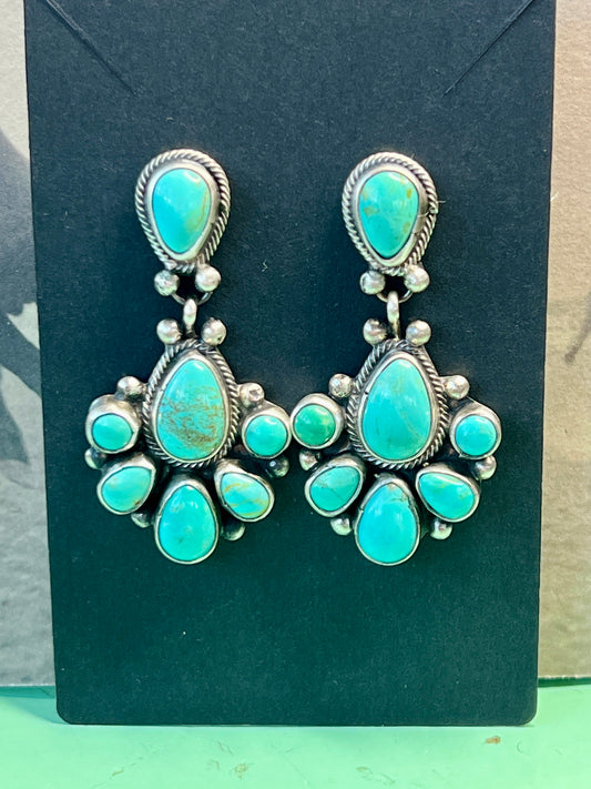 CARICO LAKE Half Cluster Earrings by Travis Jensen