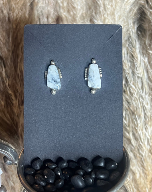 Native White Buffalo Studs